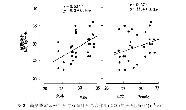 D3|(zh)sN~ƬcpH~Ƭ(CO2)Pϵ